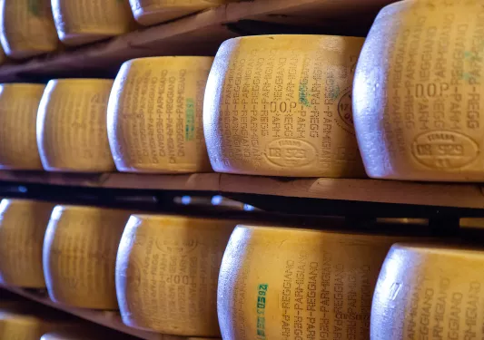 Shelves filled with wheels of Parmigiano Regiano