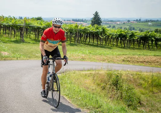 Cyclist riding around a corner with a vineyard in the background