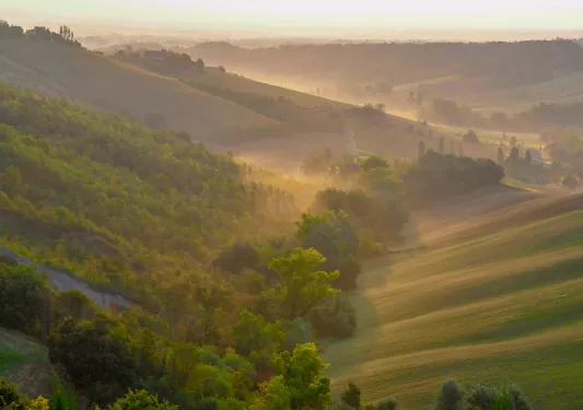 Wide shot of foggy, grassy valley during sunrise.