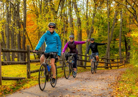 Three guests cycling down forest road, all smiling at camera, two signaling left turn.