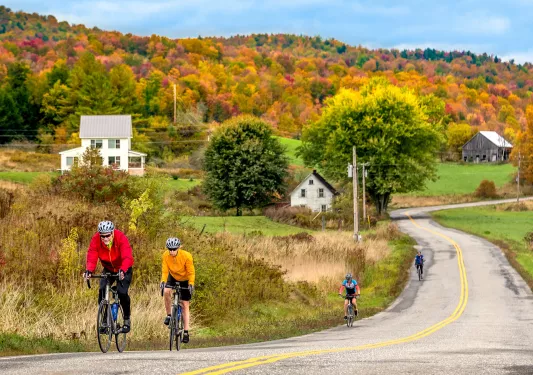 Four guests cycling up autumnal road, house, forest in distance.