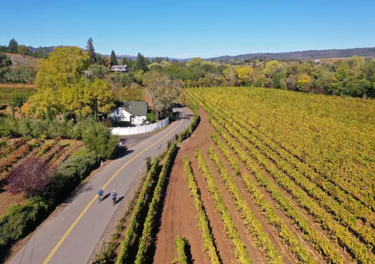 Two guests cycling down vineyard road.