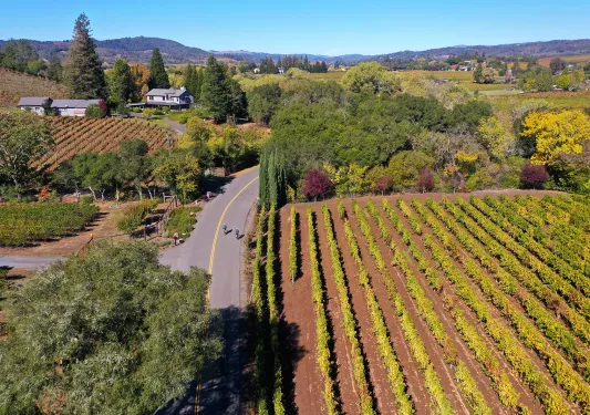 Two cyclists riding past vineyard, California hills in background.