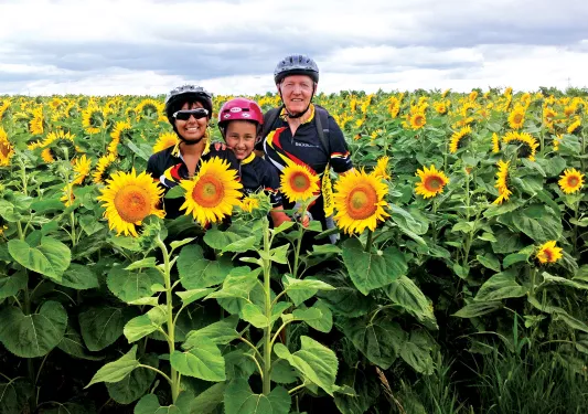 Backroads guests smiling among a field of sunflowers