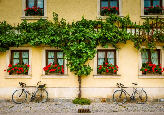 Building with pale yellow facade, with two bikes leaning against it