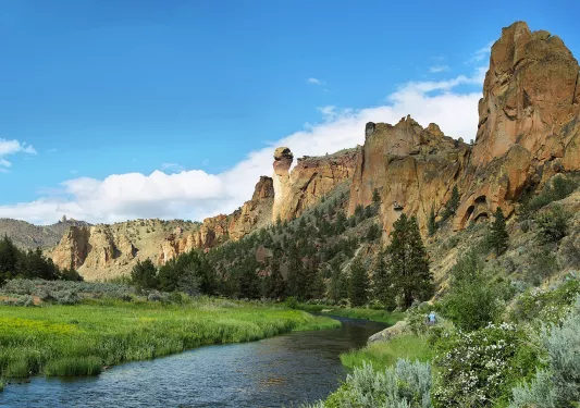 Wide shot of a stream among a grassy knoll, craggy cliffs in background.