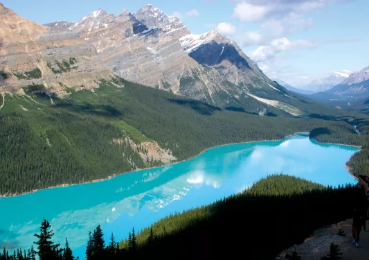 Wide shot of vibrant blue mountain river, snowy peaks in distance.