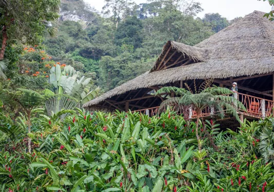 Exterior view of the Rafiki Safari Lodge