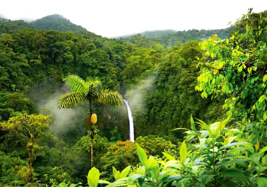 Birds Eye View Waterfall Costa Rica