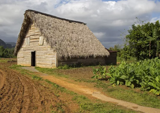 Farm House Cuba 