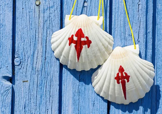 Close-up of painted shells on blue wood wall.