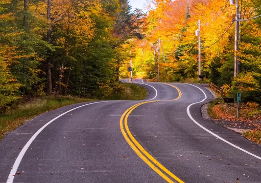Beautiful shot of autumnal, winding road.