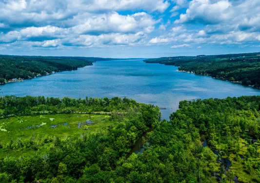 Wide shot of river, forest in foreground.