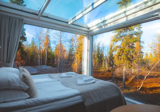 View of fall tree from inside hotel room