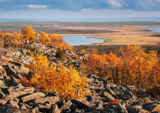 Wide shot of craggy, golden hillside, marshland in distance. 