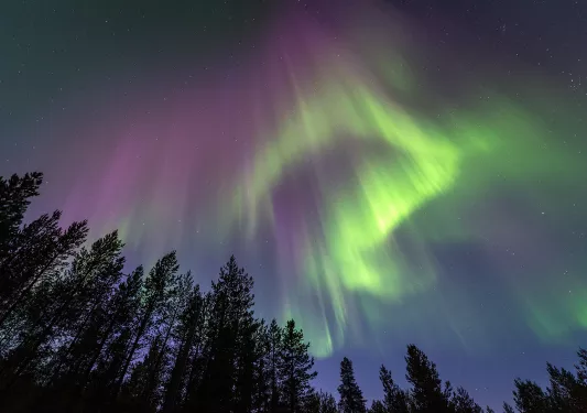 Shot of Northern Lights.