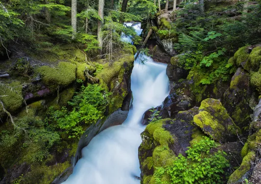 Scenic waterfall surrounded by lush green forest