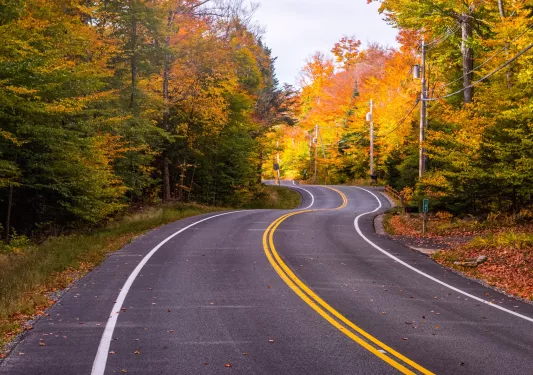 Winding road lined with fall trees in upstate New York.