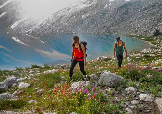 Two guests walking beside small lake, flowers, fog around them.