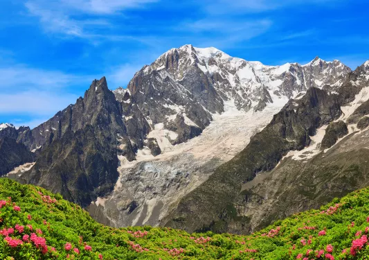 Wide shot of mountain range, greenery, small red flowers in foreground. 