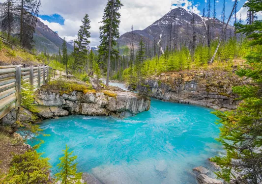 Shot of vibrant blue pool ion the wild, wooden bridge, trees, mountains.