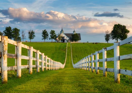 Wide shot of the Kentucky House Farm.