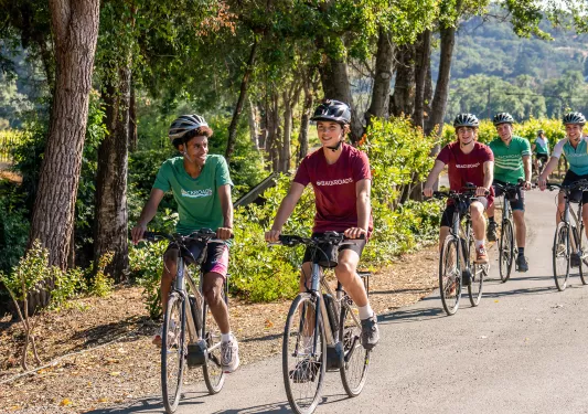 Five young guests biking down forest road, grapevines.