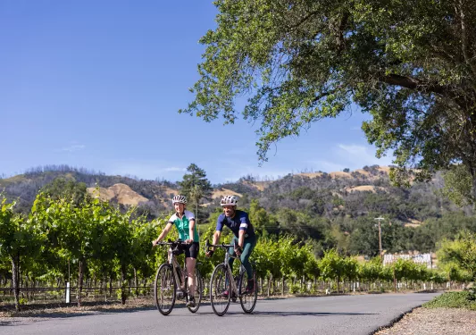 Two guests riding past vineyard, California hills in background.