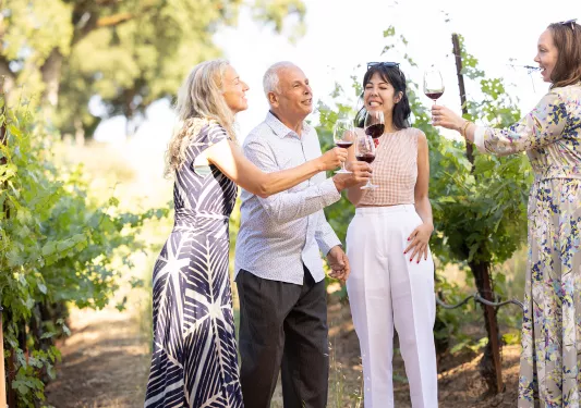 Backroads Guests Cheering Wine Glasses