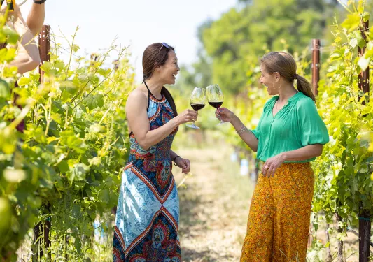 Two guests in vineyard, smiling, cheersing wine glasses.