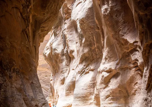 Hikers in the narrows of Zion Canyon