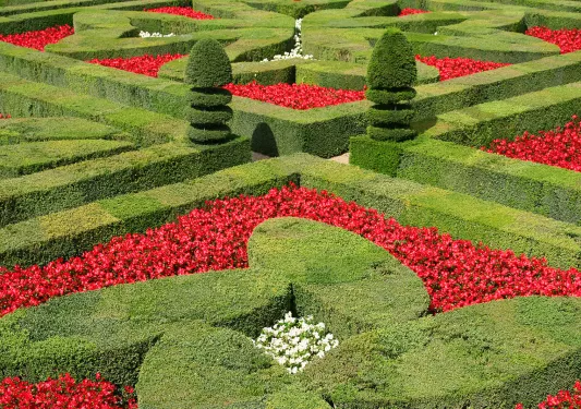 Garden with Perfectly Carved Hedges