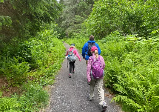 Three guests hiking down forested trail.
