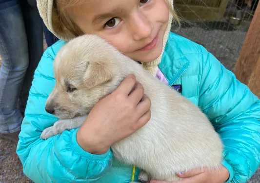 Little girl with puppy