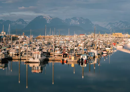 Many small boats parked in a harbor in Alaska.