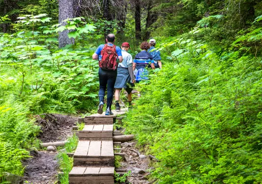 Guests hiking on path in woods