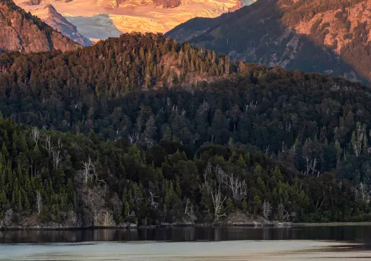 Wide shot of reflective lake during sunset, forest, snowy mountain behind.