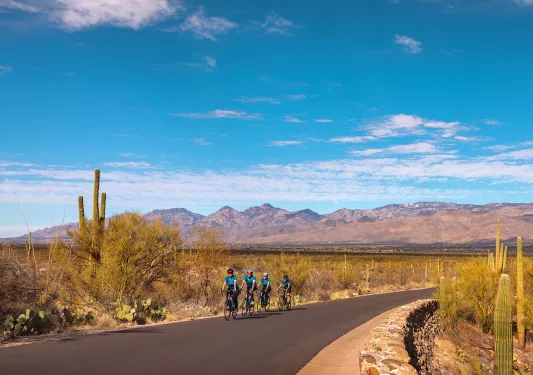 Landscape shot of bikers on road in Arizona