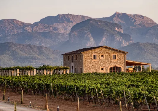 Wide shot of vineyard, stony building, craggy mountains in distance.