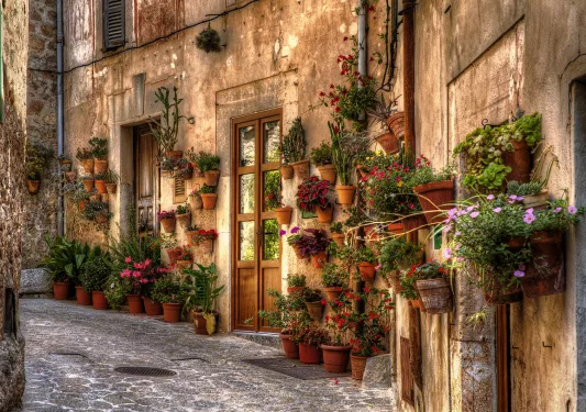 Alleyway shot, potted plants, windows, doorways.