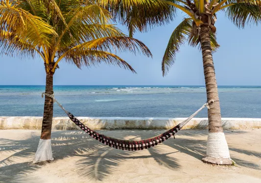 Hammock Suspended Between Two Palm Trees