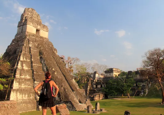 Maya Ruin Guest Gazing Up