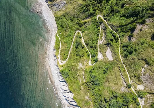 Overhead shot of winding beach trail, ocean, forest.