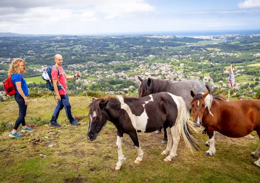 Backroads Guests Hiking with Horses