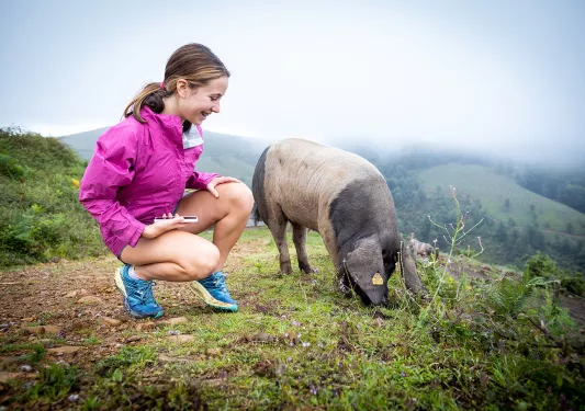 Young guest crouching on hilltop with pig.