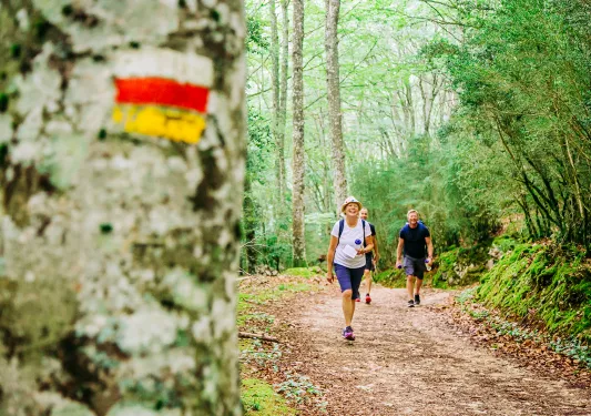 Backroads Guests Hiking