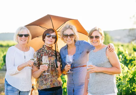 Guests Vineyard French Pyrenees to Basque Country