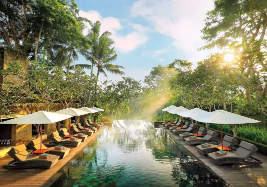 Shot of pool at forest resort.