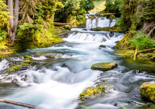 Shot of flowing river among mossy forest.