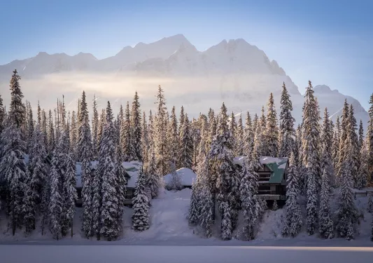 Wide shot of snowy forest, houses covered, mountains in distance.